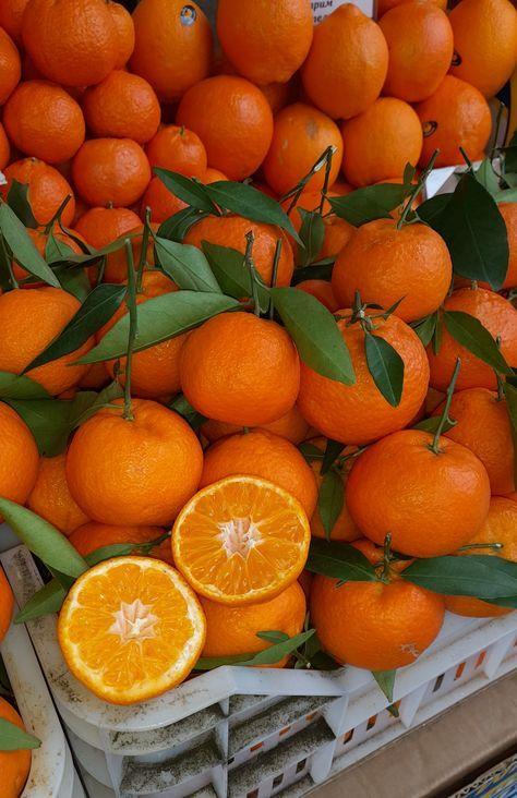 Berry Patch Vibrant Variety Pack