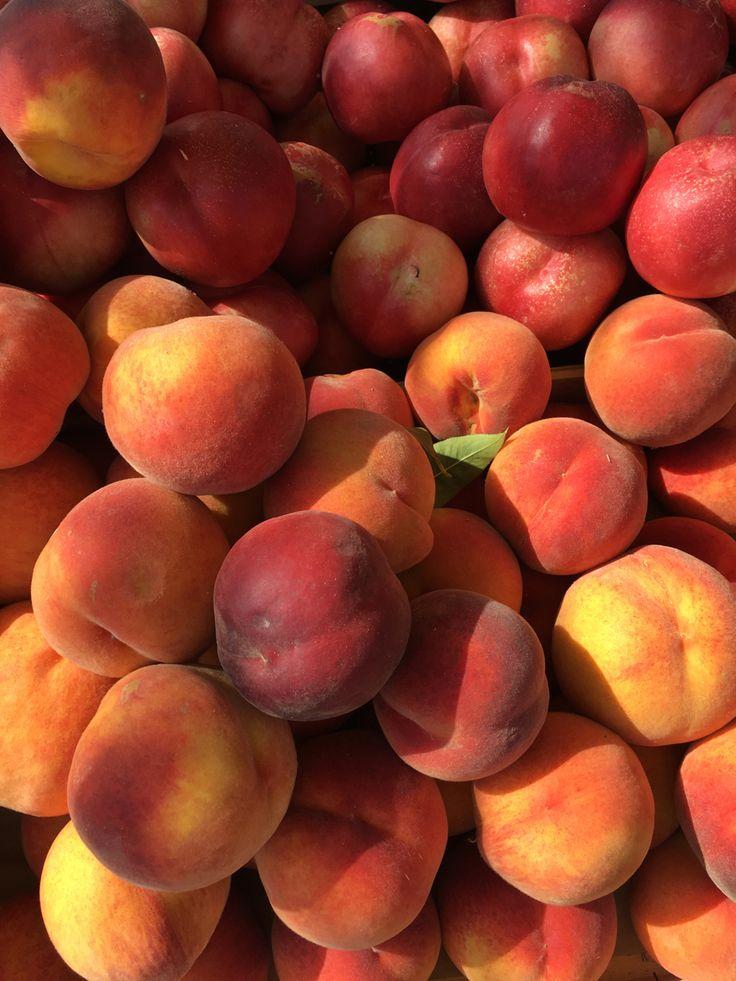 Sun-Kissed Orchard Harvest Medley